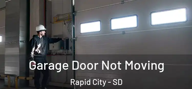  Garage Door Not Moving Rapid City - SD